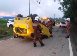 Axia terbalik langgar dua ekor lembu
