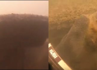 Temui kereta dalam tasik, ingatkan kereta ‘orang hilang’ rupanya….