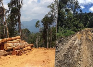 Penduduk terpaksa guna tangan baiki jalan dan jambatan peninggalan syarikat balak!