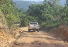 Lebih 4,000km jalan bekas laluan balak perlu dibaiki