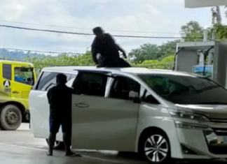 Lelaki mabuk duduk atas bumbung Toyota Vellfire ditahan polis