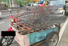 “Terus sita jika jumpa motor roda tiga,” KP JPJ