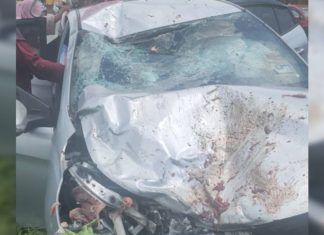 Penjual ayam maut dirempuh kereta