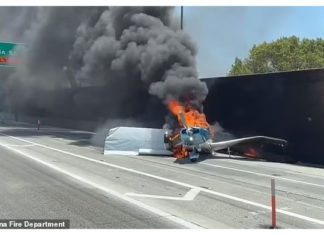 Penumpang selamat pesawat mendarat cemas di lebuh raya