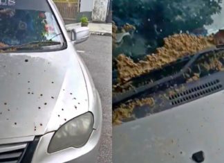 Gara-gara parkir seberang rumah jiran, cermin depan Proton Persona penuh tanah