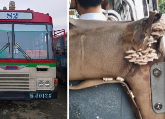 Tular imej kerusi bas Bangkok tumbuh cendawan, pihak pengurusan mohon maaf