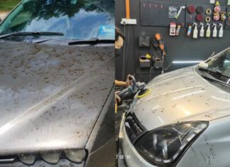 SUKE: Tumpahan minyak, pihak pengurusan akan tanggung kos cuci