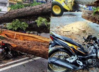 “Ayah dah nak sampai rumah,” mangsa pokok tumbang Taman Maluri