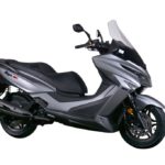 Elegan 250 EX_15