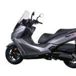 Elegan 250 EX_7