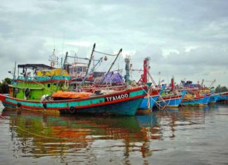 BUDI95: Kerajaan teliti rayuan nelayan, pekebun, pengusaha bot