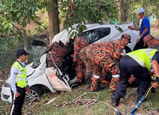 Tayar lori pecah, suami isteri maut Proton Preve langgar pokok
