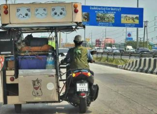 Warga emas kembara bersama 11 kucing sejauh 300km