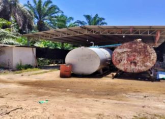 Sorok 12,000 liter diesel dalam ladang kelapa sawit