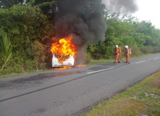 Rempuh tiang elektrik, MPV dipandu jururawat terbakar