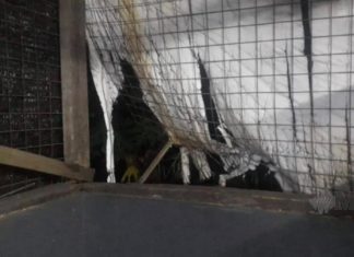 “Tak sangka, orang selalu datang ke bengkel rupanya dalang..”