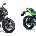 batch_Kawasaki Z650 (2023)_2-side