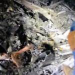 Ferrari terbakar_6