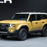 Land Cruiser 250 Series_96
