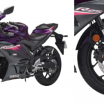 Yamaha R-25