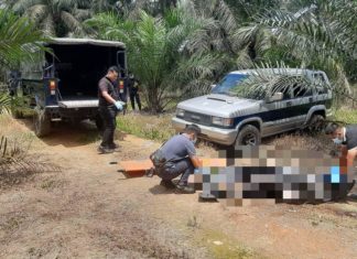 Warga emas ditemui meninggal dunia di tepi pacuan empat roda