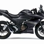 batch_Suzuki Gixxer SF250_10