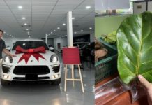 Hasil jualan daun ketapang kering, pemuda ini dapat miliki kereta mewah idaman