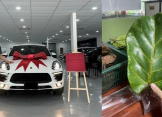 Hasil jualan daun ketapang kering, pemuda ini dapat miliki kereta mewah idaman