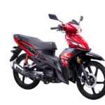 batch_WMoto SM125i_7