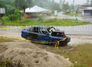 Proton Wira terbabas tak sempat larikan lembu