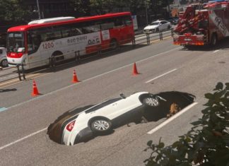 957 lubang benam muncul di Korea Selatan antara 2019-2023