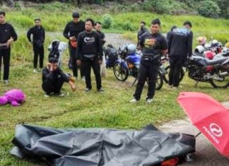 Elak patung penyu jatuh atas lebuhraya, penunggang Yamaha RX-Z maut kemalangan