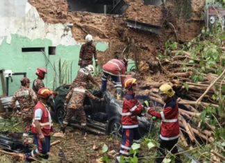 Dua warga China maut, Perodua Aruz dihempap pokok tumbang