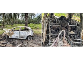 Proton Iriz terbakar ketika curi 30 tandan kelapa sawit