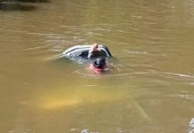 Perodua Alza terjunam dalam sungai, tiga kanak-kanak maut