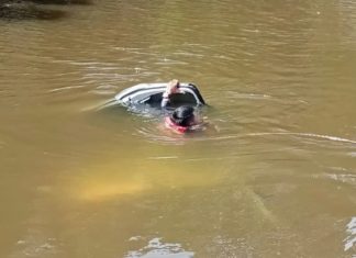 Perodua Alza terjunam dalam sungai, tiga kanak-kanak maut