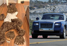 Dakwaan ‘beruang’ rosakkan Rolls-Royce, sindiket tipu syarikat insurans tumpas