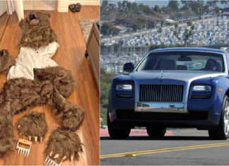 Dakwaan ‘beruang’ rosakkan Rolls-Royce, sindiket tipu syarikat insurans tumpas