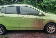 Sewa Perodua Axia angkut kelapa sawit, pemilik tanggung kerugian