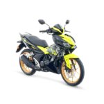 batch_2025_RSX_Yellow_02