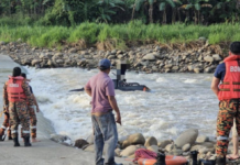 Toyota Hilux hanyut, pemandu panjat bumbung selamatkan diri