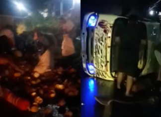 Lori terbalik, penduduk rembat durian bukannya tolong pemandu