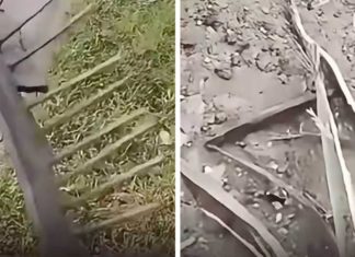 Polis panggil ibu bapa budak letak paku, batu, kayu atas jalan