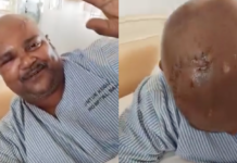 “Sempat masukkan botol ke mulut harimau kumbang,” pemandu lori