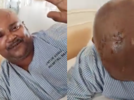 “Sempat masukkan botol ke mulut harimau kumbang,” pemandu lori