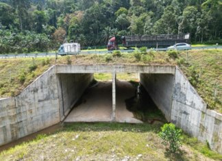 KKR : Lebuh raya, jalan raya baharu akan dibina dengan terowong hidupan liar