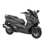 batch_ARIIC 318GT_1