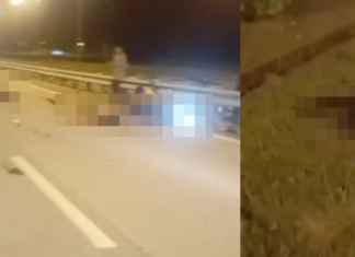 Dua parah, dua maut dipercayai berlumba di SKVE