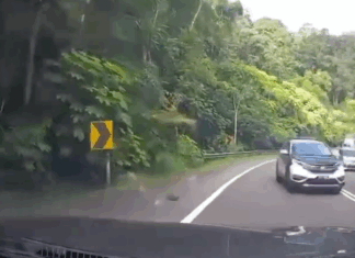 Anggota JPJ digantung tugas, memotong di garisan berkembar