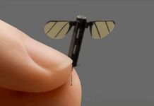 China bangunkan dron sekecil nyamuk untuk tujuan risikan